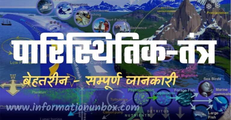 Read more about the article पारिस्थितिक-तंत्र क्या है – बेहतर research के साथ सम्पूर्ण जानकारी | what is ecosystem in hindi