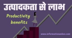 Read more about the article उत्पादकता के लाभ सम्पूर्ण जानकारी | Productivity benefits in hindi