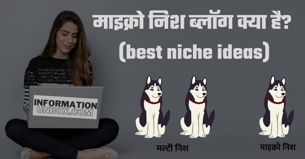 micro niche blog ideas in hindi