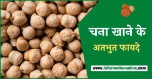 Read more about the article 15 अतभुत फायदे चना खाने के | Gram benefits in hindi