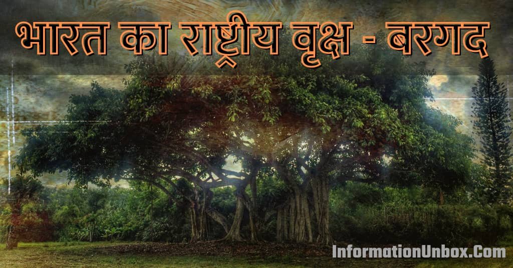 national tree of india in hindi