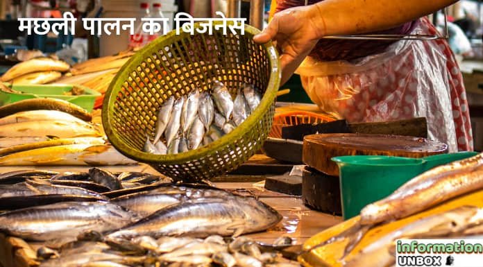 Fisheries business hindi